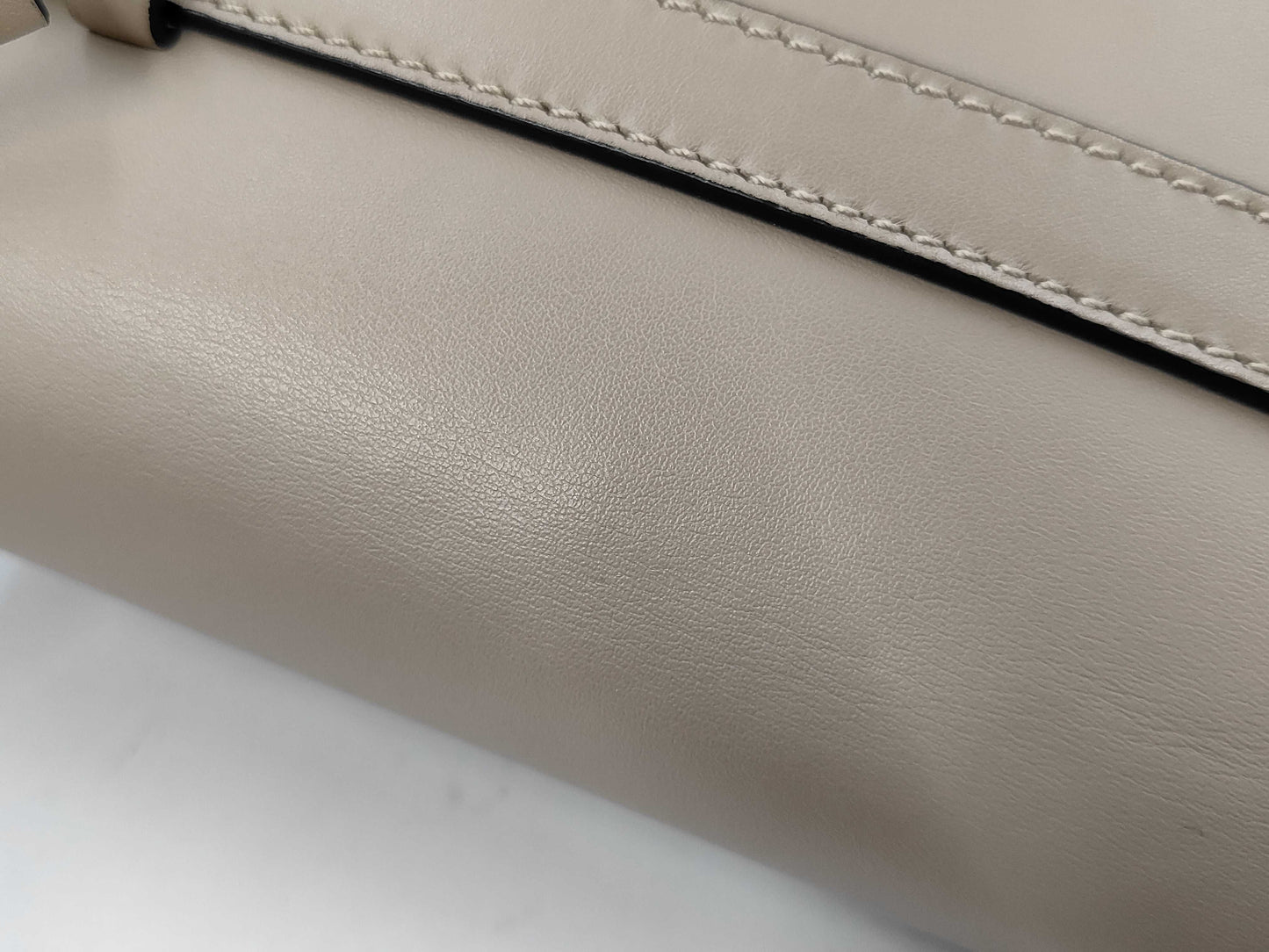 Loewe Gate Dual Mini Bag