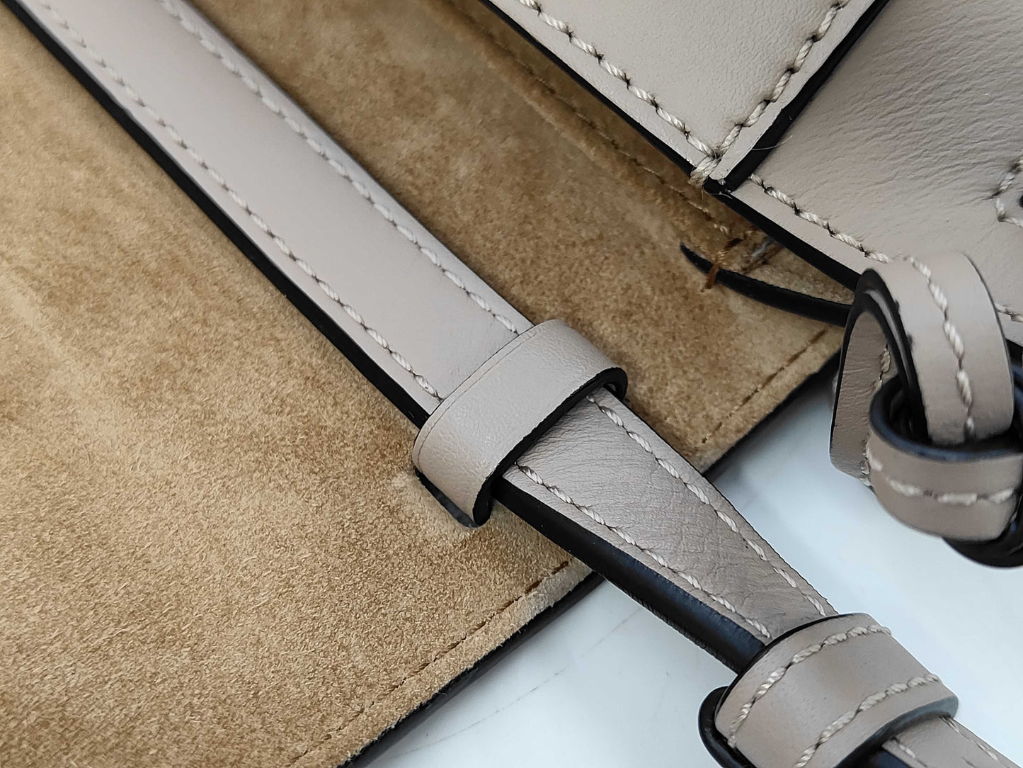 Loewe Gate Dual Mini Bag