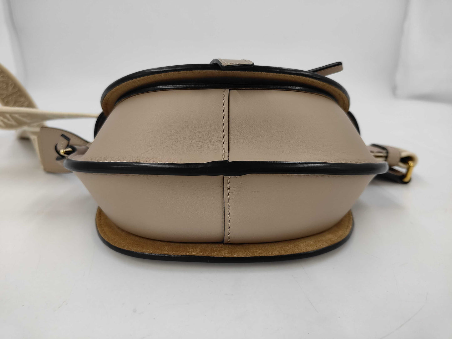 Loewe Gate Dual Mini Bag