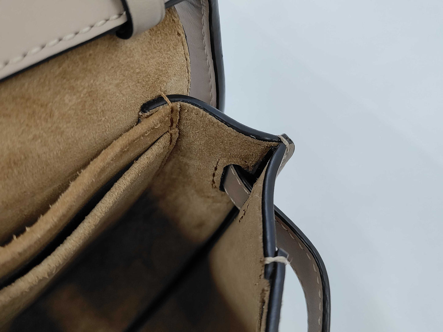 Loewe Gate Dual Mini Bag