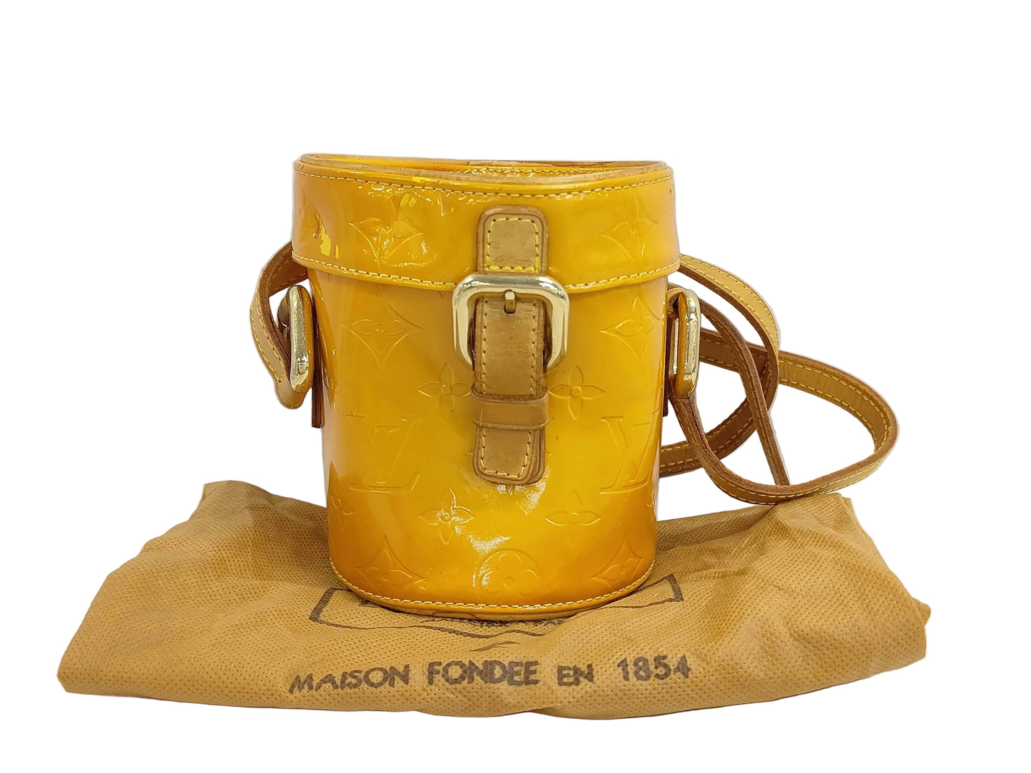 Louis Vuitton Vernis Papillon Bag